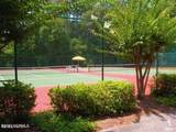 804 Indigo Village Court - Photo 117