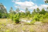16320 Palmer Road - Photo 2