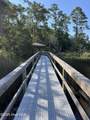 205 Egret Point Drive - Photo 24