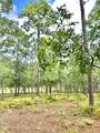 4004 Winds Ridge Drive - Photo 66