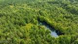 0 Great Swamp Loop - Photo 26