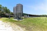 3848 Rooks Road - Photo 14