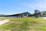 3848 Rooks Road - Photo 17