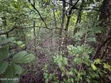 Lot 309 Holiday Drive - Photo 4