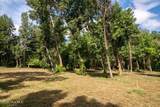 Tract A-2 Nc 133 Highway - Photo 25