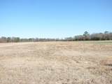 Tract 1 Tart Town Road - Photo 3