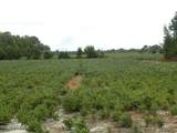 Tbd Conetoe Road - Photo 11