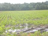 Tbd Conetoe Road - Photo 6