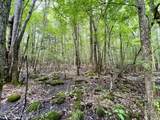 1596 Middle Swamp Road - Photo 98