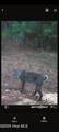 Tbd Catfish Lake Road - Photo 42