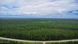 Tbd Catfish Lake Road - Photo 44