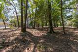 Tbd Turtle Point Road - Photo 12