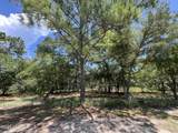 3648 Natchez Street - Photo 6