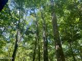 624 Dismal Road - Photo 32