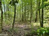 624 Dismal Road - Photo 11