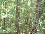 Lot 16 Straight Way Road - Photo 3