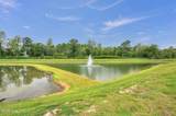 103 Dragonfly Lane - Photo 51