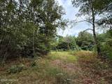 0 Doc Brown Road - Photo 116