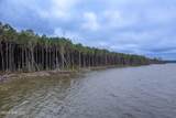 00000 Bluff Point Road - Photo 12