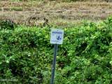 Off E Waterway Drive - Photo 31