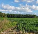 00000 Deep Creek Road - Photo 8