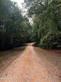 Lot 61 Palomino Road - Photo 6