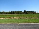 Tbd Cowpen Swamp Road - Photo 15