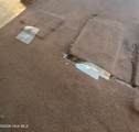 1587 Salem Church Road - Photo 7