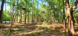 L-2 S-N Palmer Drive - Photo 10