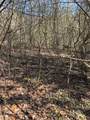 Lot 16-N High Meadows Drive - Photo 11