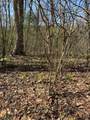 Lot 16-N High Meadows Drive - Photo 2