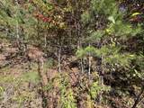 TBD Upper Peachtree Road - Photo 11