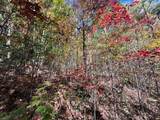 TBD Upper Peachtree Road - Photo 12
