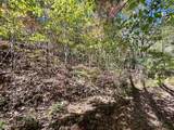 TBD Upper Peachtree Road - Photo 15