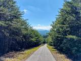 Lot 31 Crested Eagle Lane - Photo 5