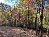1 Bartin Ridge - Photo 10