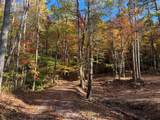 1 Bartin Ridge - Photo 13