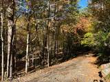 1 Bartin Ridge - Photo 15