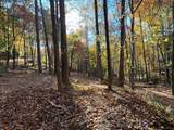 1 Bartin Ridge - Photo 18