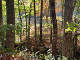 1 Bartin Ridge - Photo 22