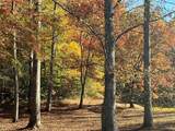 1 Bartin Ridge - Photo 30