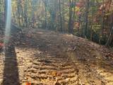 1 Bartin Ridge - Photo 9