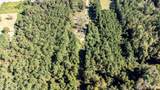 2460 Piney Green Road - Photo 14