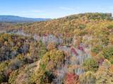 Tbd Pack Mountain Road - Photo 12
