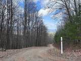 Tbd Pack Mountain Road - Photo 16
