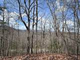 Tbd Pack Mountain Road - Photo 19