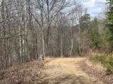 Tbd Pack Mountain Road - Photo 2