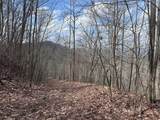 Tbd Pack Mountain Road - Photo 21