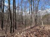 Tbd Pack Mountain Road - Photo 27