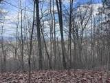 Tbd Pack Mountain Road - Photo 33